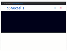 Tablet Screenshot of conectalis.com